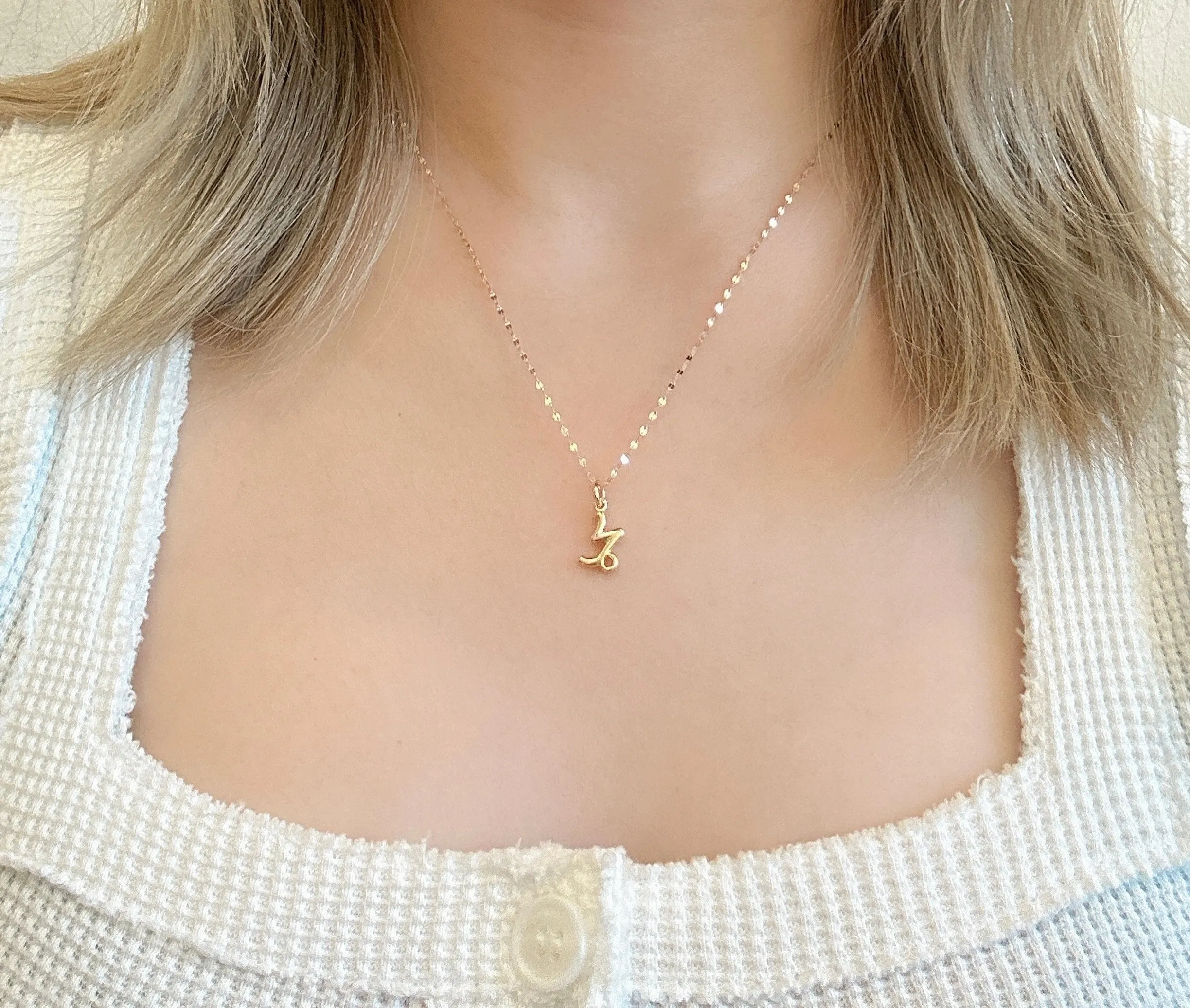 Amare Wear Horoscope Zodiac Sign Capricorn Necklace