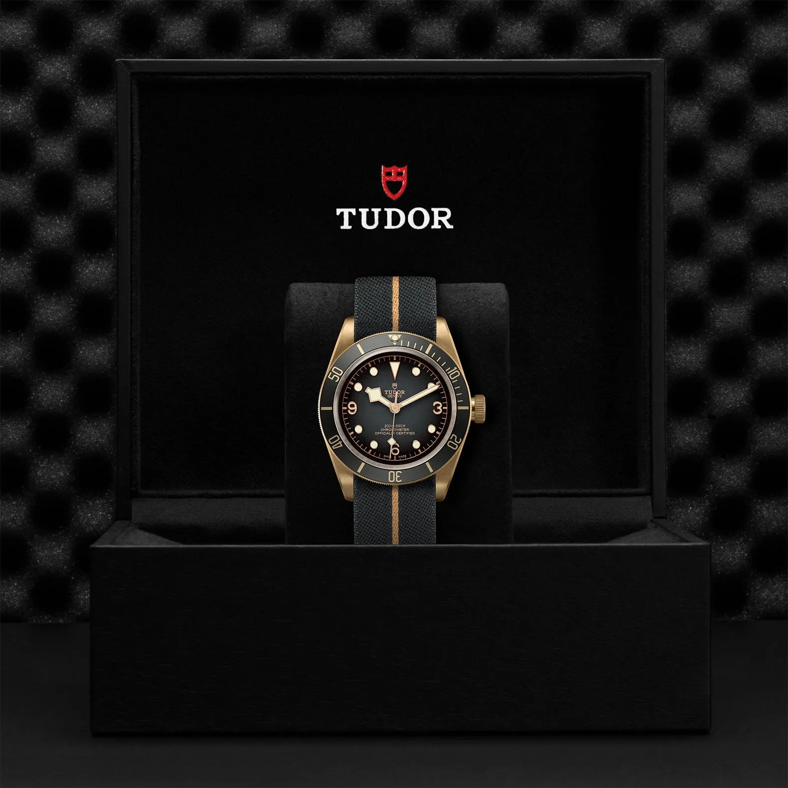 TUDOR Black Bay Bronze